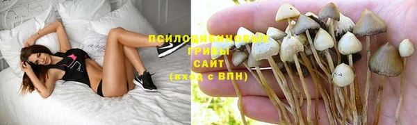 2c-b Магас