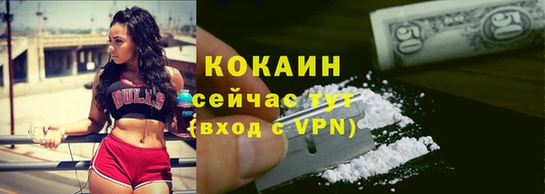 стафф Анжеро-Судженск