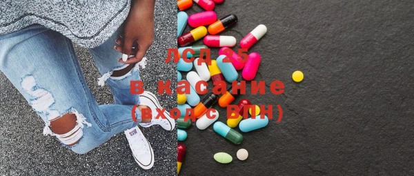 гидра Липки