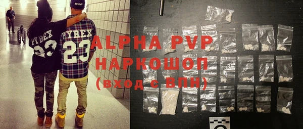 стафф Анжеро-Судженск