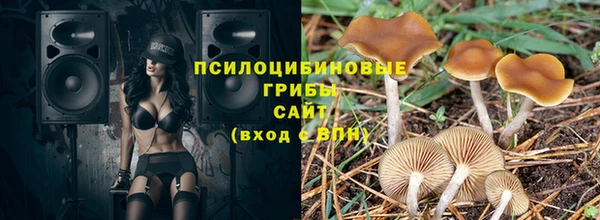 2c-b Магас