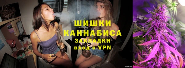 дурь Новодвинск