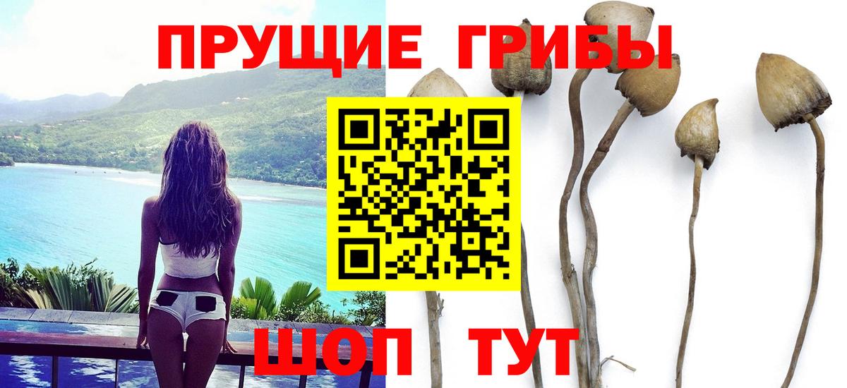 Псилоцибиновые грибы ЛСД  Чернушка 