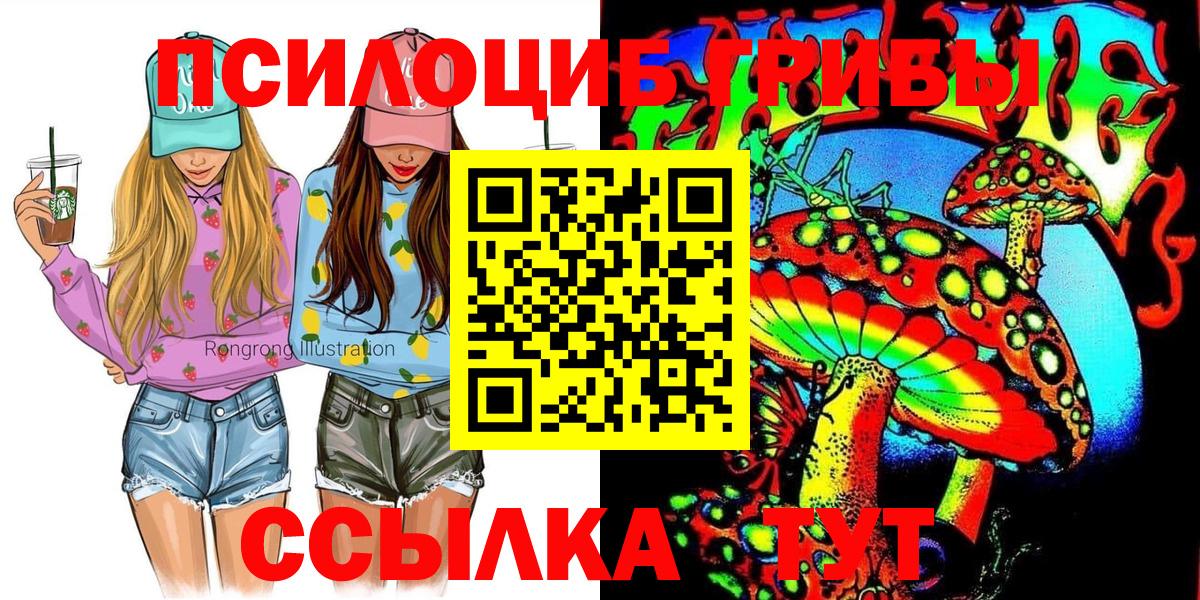 Галлюциногенные грибы GOLDEN TEACHER Чернушка