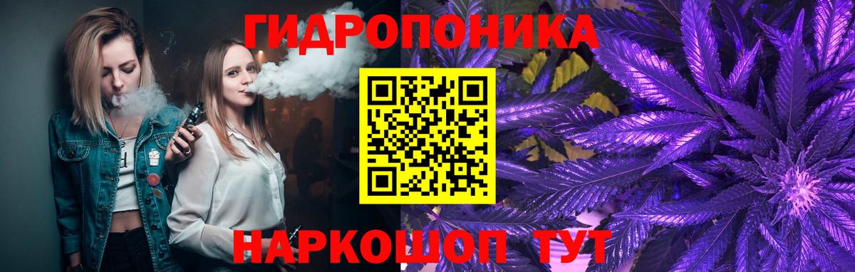 Канабис SATIVA & INDICA Чернушка